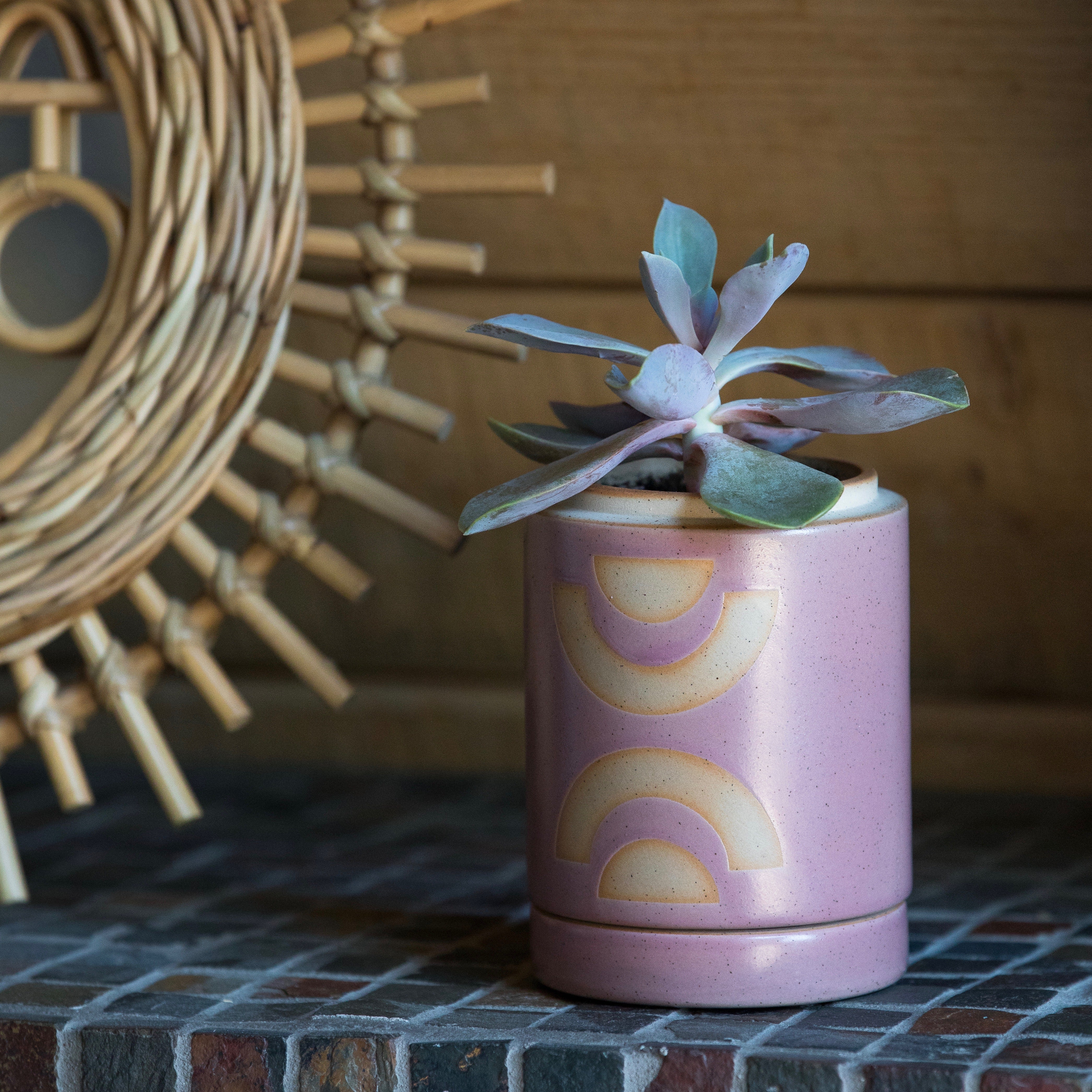 Paddywax Form Candle - Ceramic Candle - Candle Turned Planter - Pot Holder - Succulent Plant - Succulent Pot - How To Plant A Succulent - How To - Women's Clothing Store - Women's Accessories - Tutorial - O KOO RAN - Big Bear Lake California