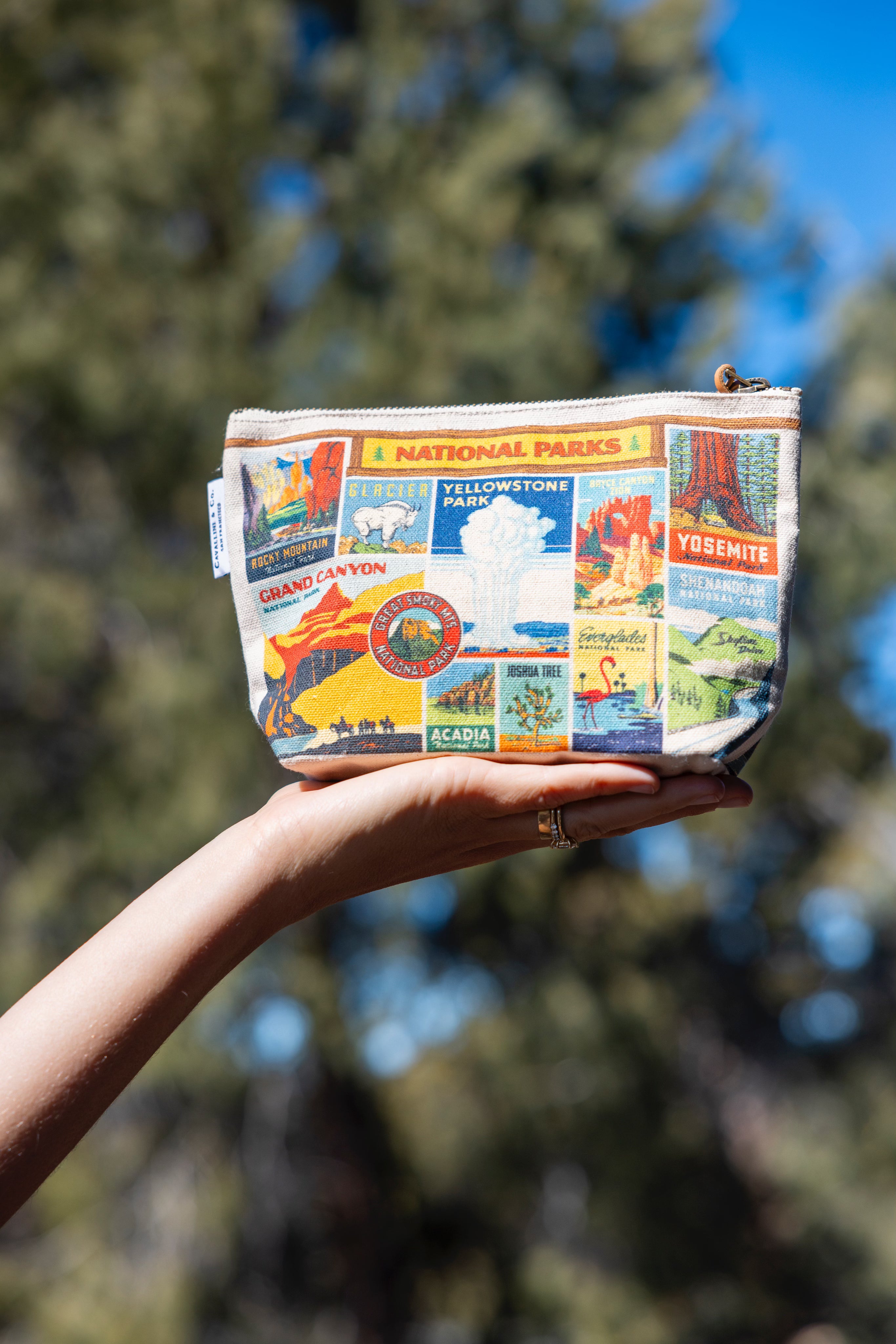 National Parks Pouch