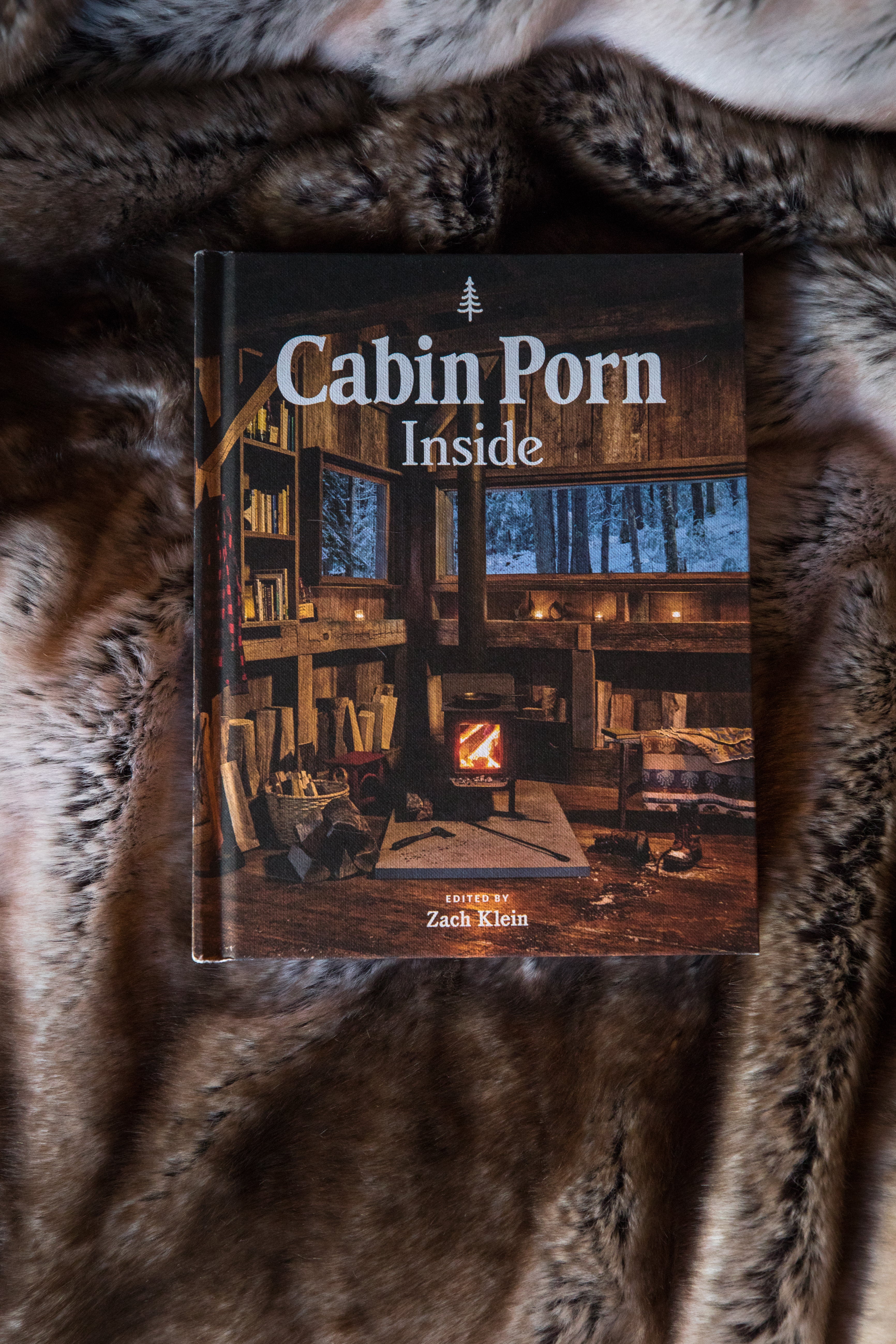 Cabin Porn: Inside