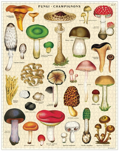 Mushroom Puzzle