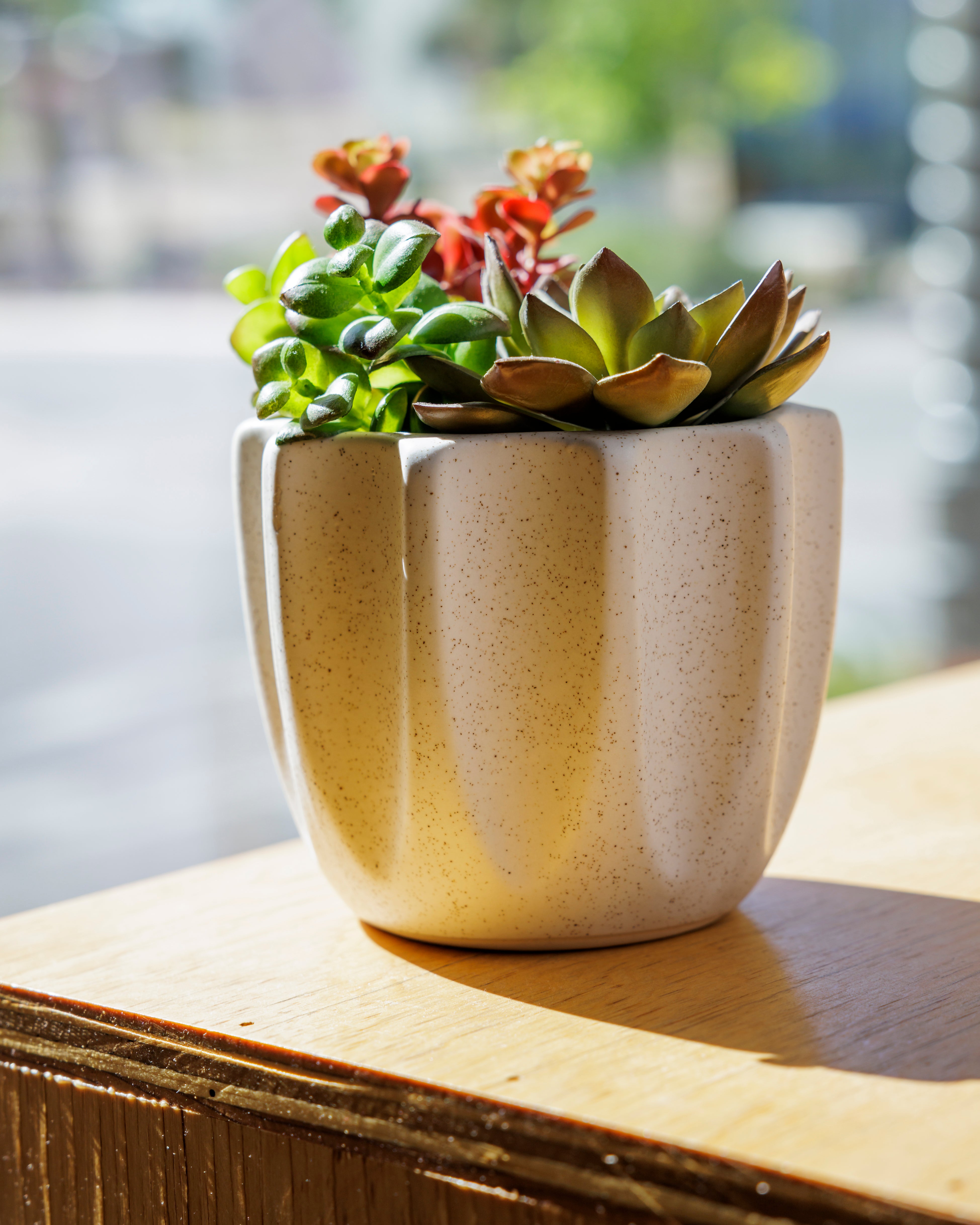 Beaumont Pot