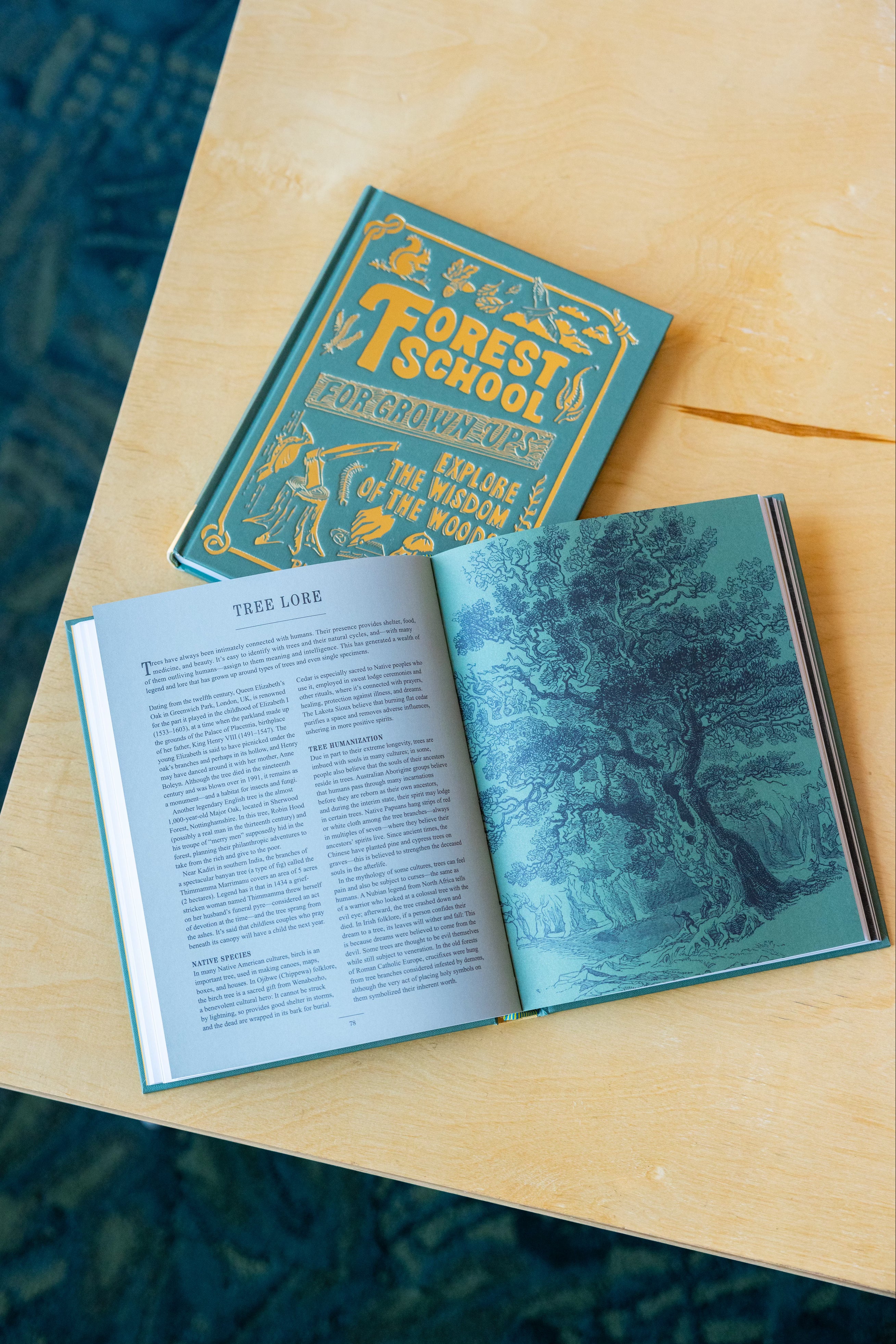 Forest School for Grown-Ups