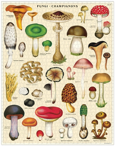 Mushroom Puzzle