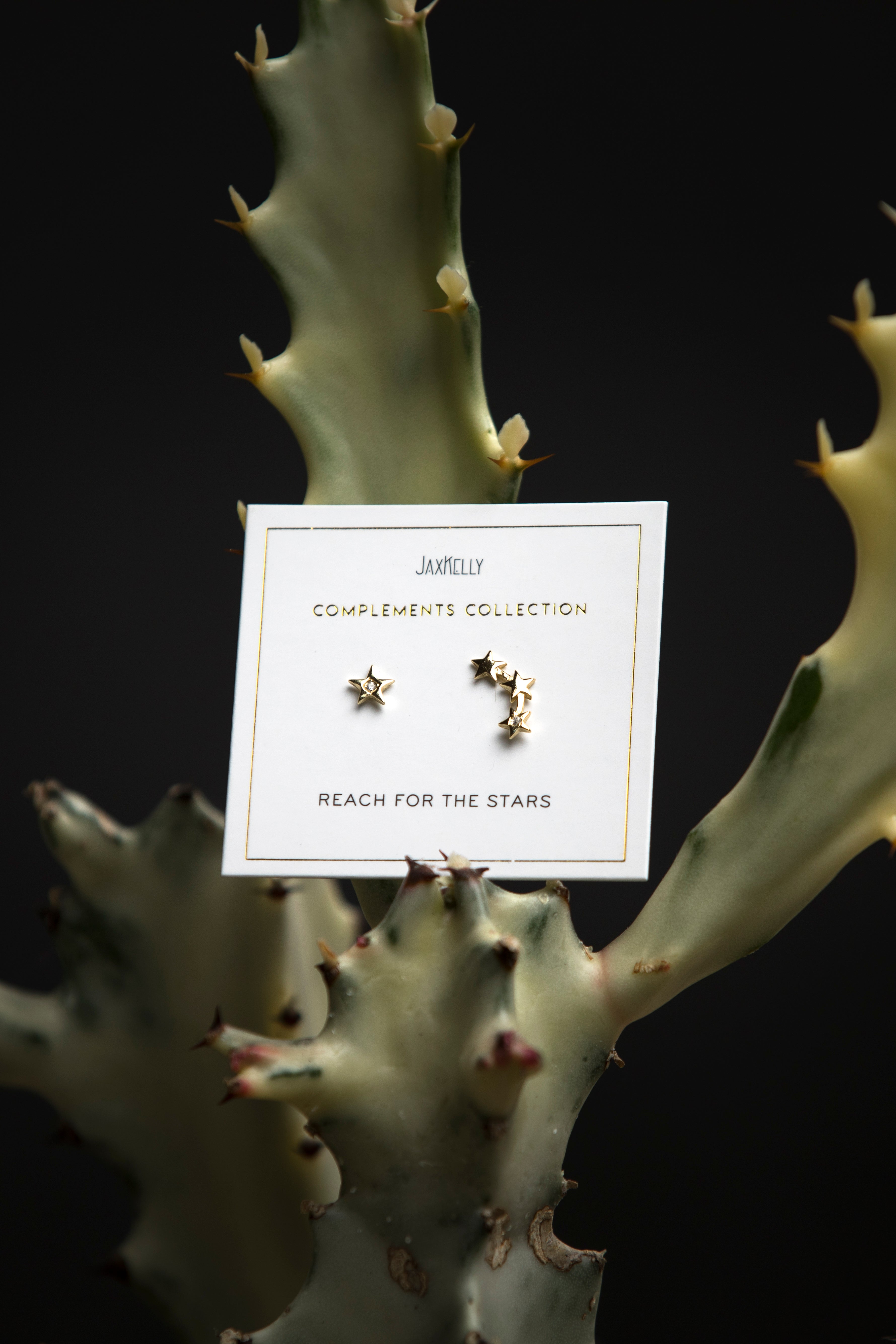 JaxKelly Star + Constellation Earrings - Jewelry - Women's Clothing Store - Ladies Boutique - Accessories - O KOO RAN - Big Bear Lake California